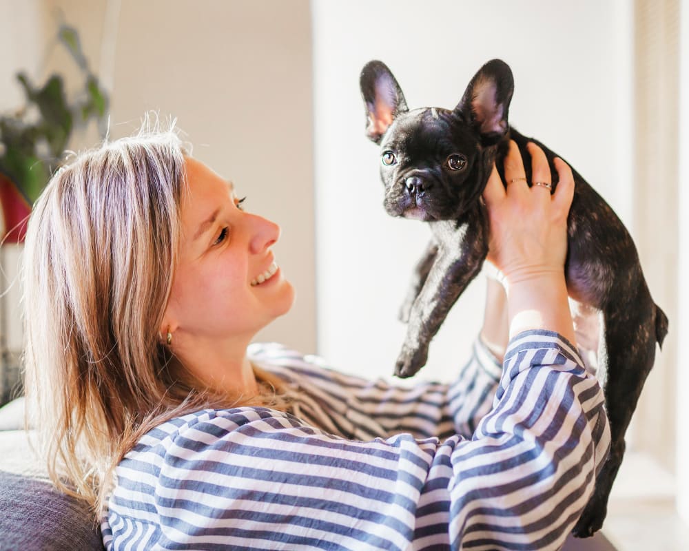 Happy, smiling senior couple sitting on a sofa cuddling a large golden retriever that's lying between them.